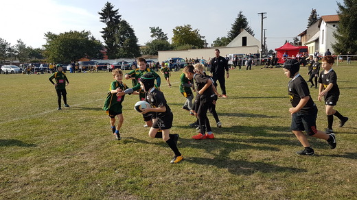 20181007_111732.jpg