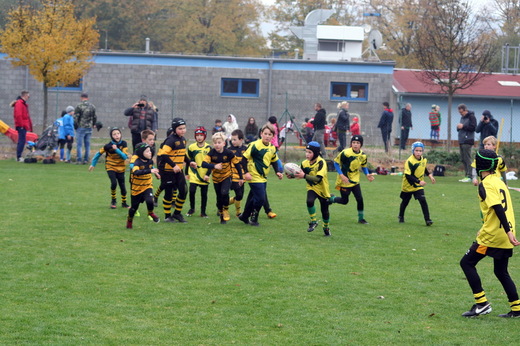 20181104_U10_Říčany_12.JPG