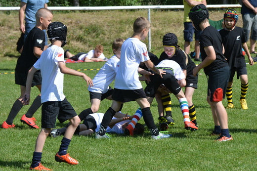 20190609_HC_Kotatko_07.jpg