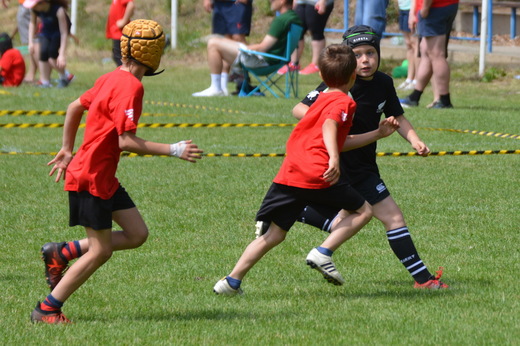 20190609_HC_Kotatko_48.jpg
