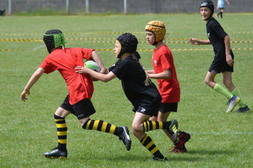 20190609_HC_Kotatko_50.jpg