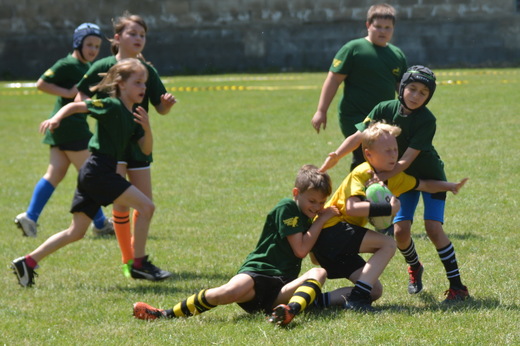 20190609_HC_Kotatko_79.jpg