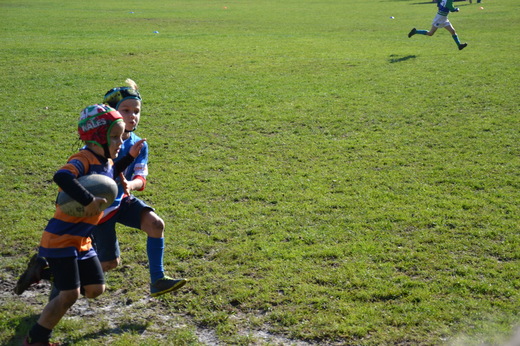 DSC_0396.JPG